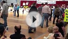 Frankenmuth Oktoberfest Wiener Dog Costume Contest